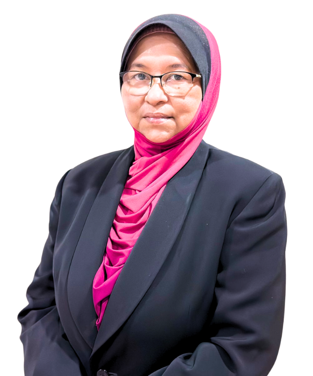 MAZIDAH BINTI AMIRUDDIN
